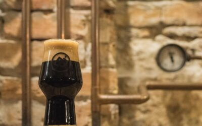 Porter or stout: which one’s wilder?