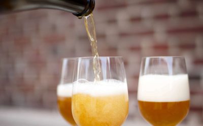 One of the Homelands of Beer: German Beers