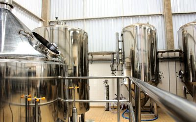 How Beer is Made: The Mysteries of Brewing